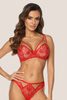 Lace Push-Up Bra Sensual