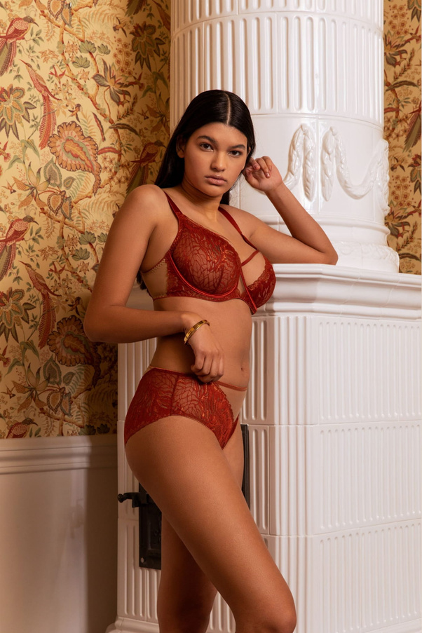 Lace Panties Firebird